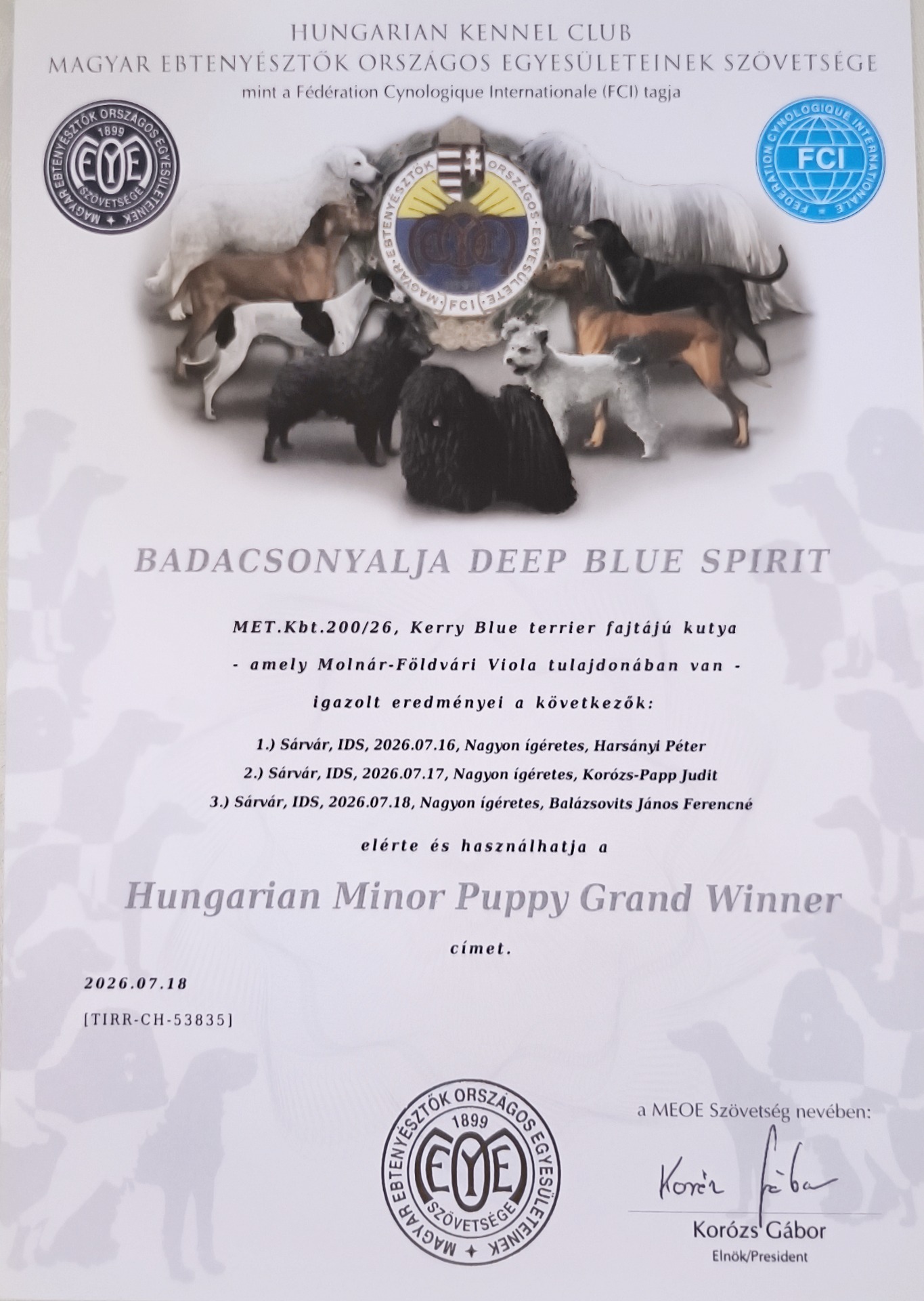 Hungária Minor Puppy Grand Champion Wier 3 hónapos 4 napos Sárvár