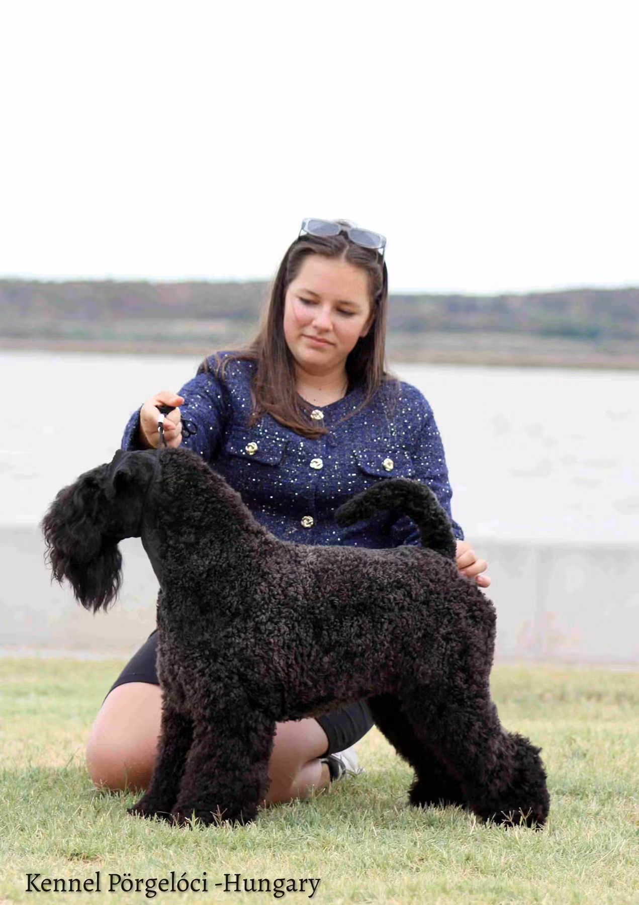 Badacsonyalja Cara Blue Mist Kerry Blue Terrier