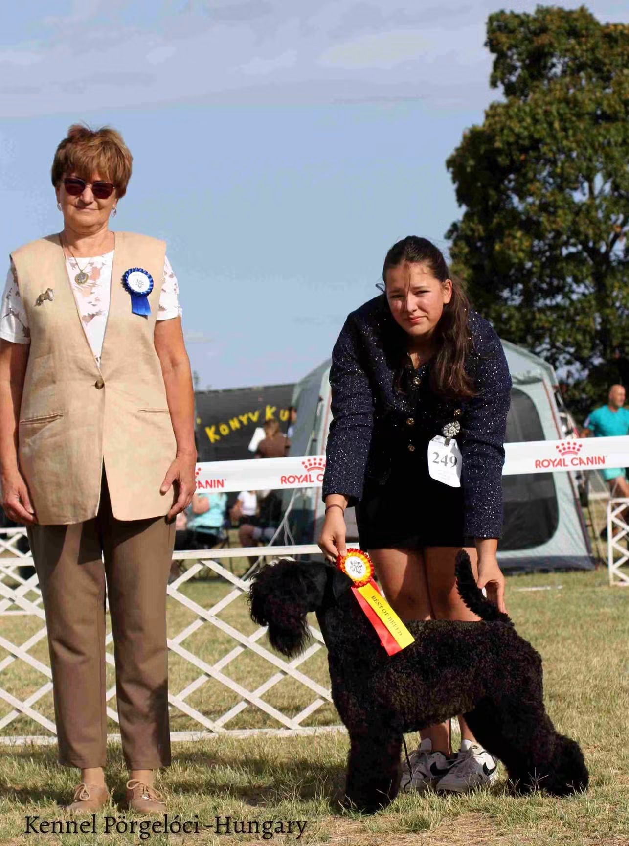 Badacsonyalja Cara Blue Mist Kerry Blue Terrier